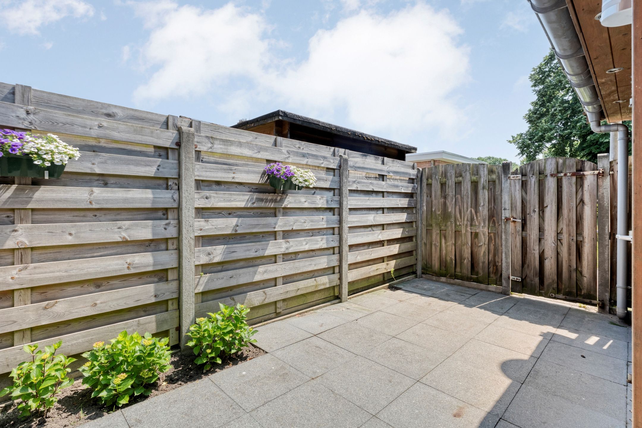 Foto 39 van Nachtegaalstraat 22