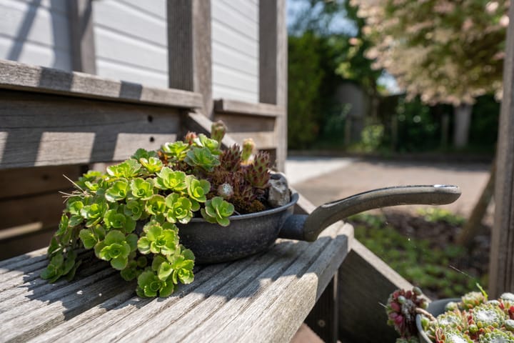 Foto 33 van Gerritslanderdijkje 47-9