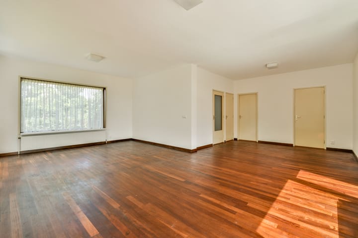 Foto 6 van Duinwetering 3