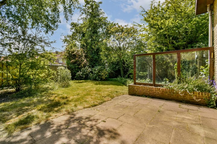 Foto 9 van Duinwetering 3