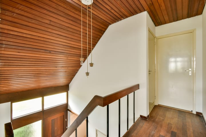 Foto 12 van Duinwetering 3