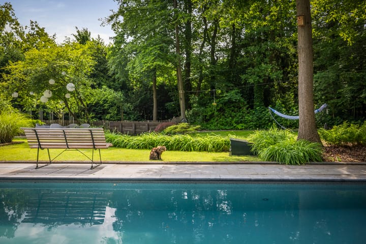 Foto 40 van Novalieweg 36