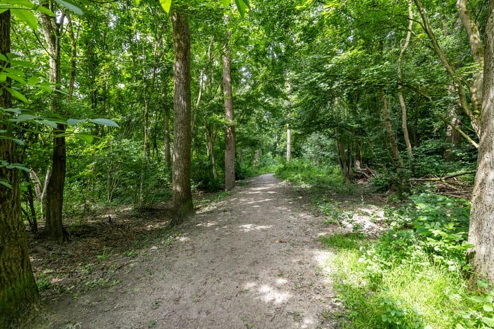 Foto 54 van Het Roege Bos 11