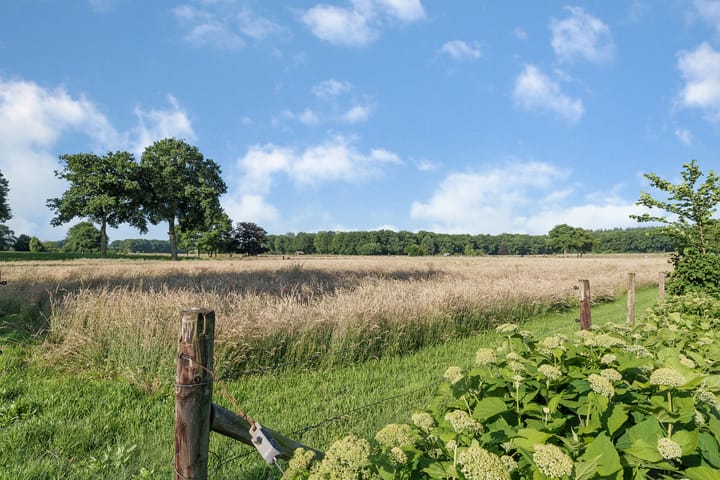 Foto 2 van Wolterskampweg 37