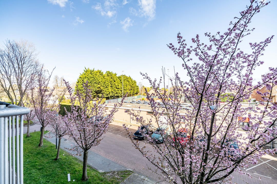 Foto 1 van Merendonk 42