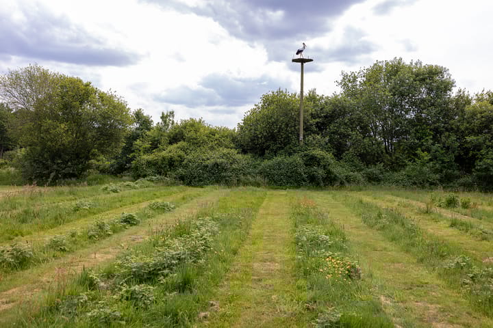 Foto 57 van Veldweg 1