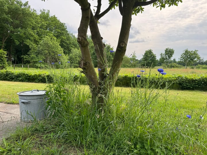 Foto 62 van Veldweg 1