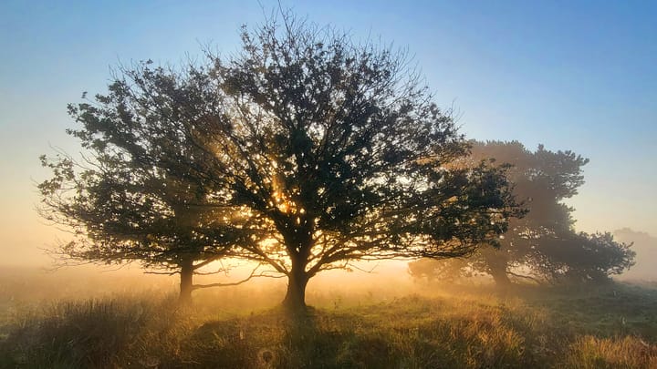 Foto 63 van Veldweg 1