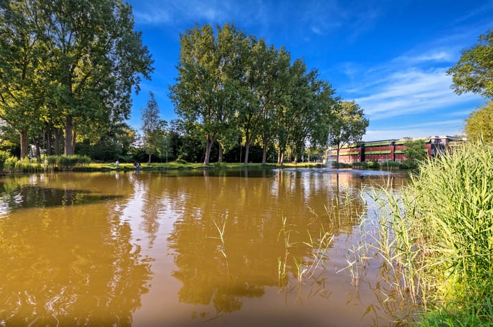 Foto 41 van Rekerdijk 13