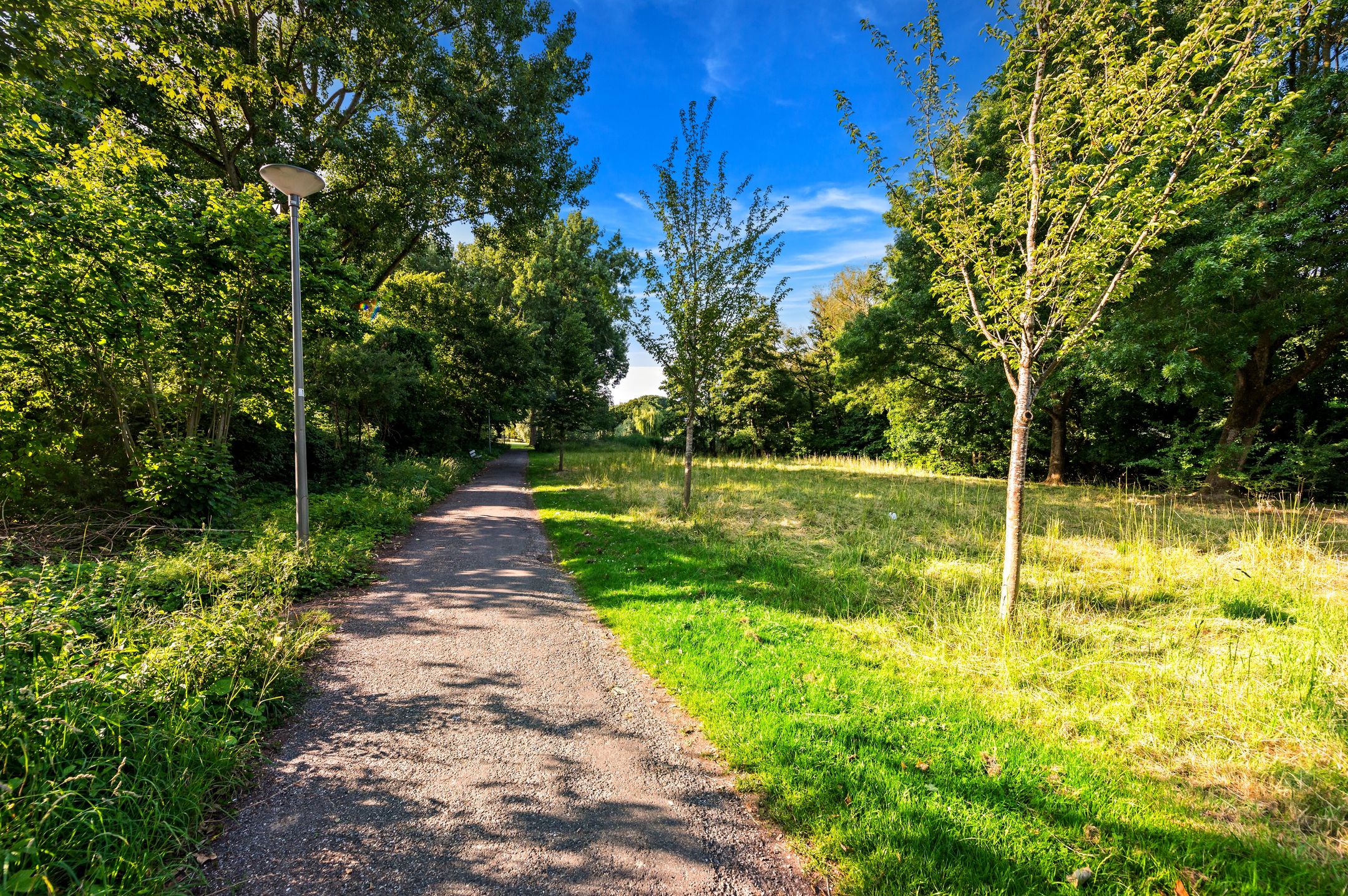 Foto 42 van Rekerdijk 13