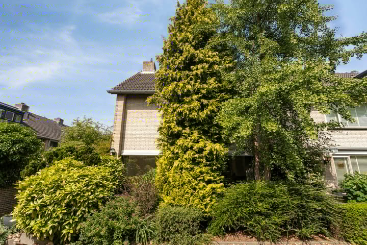 Foto 2 van Novapad 11