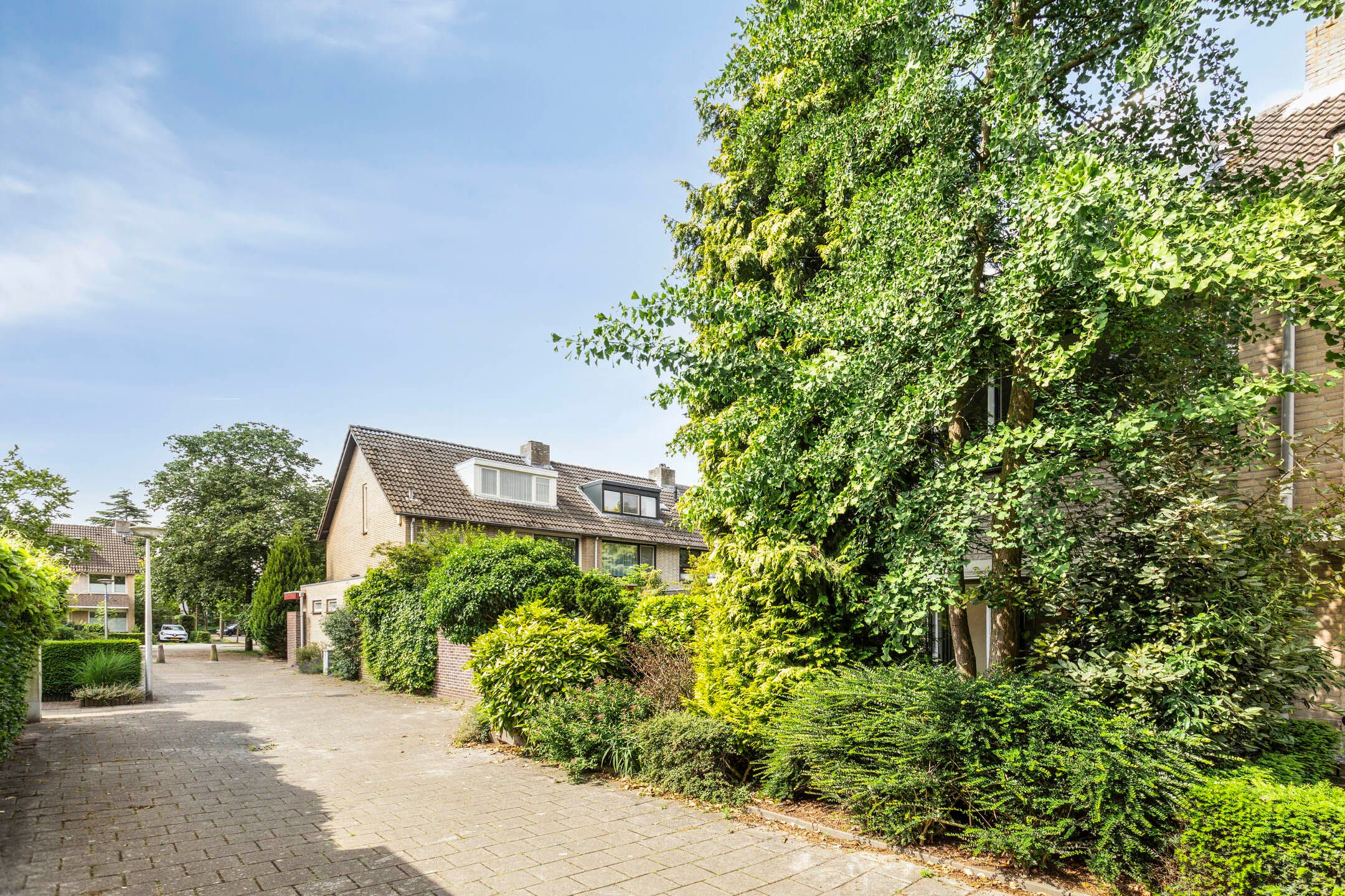 Foto 3 van Novapad 11