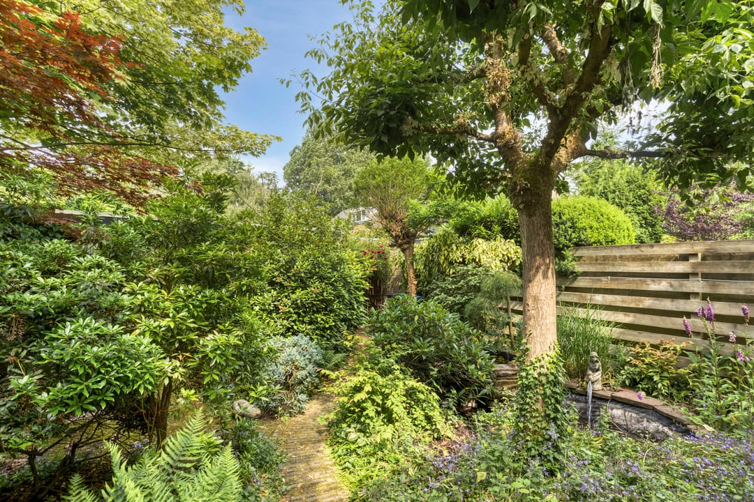 Foto 32 van Novapad 11