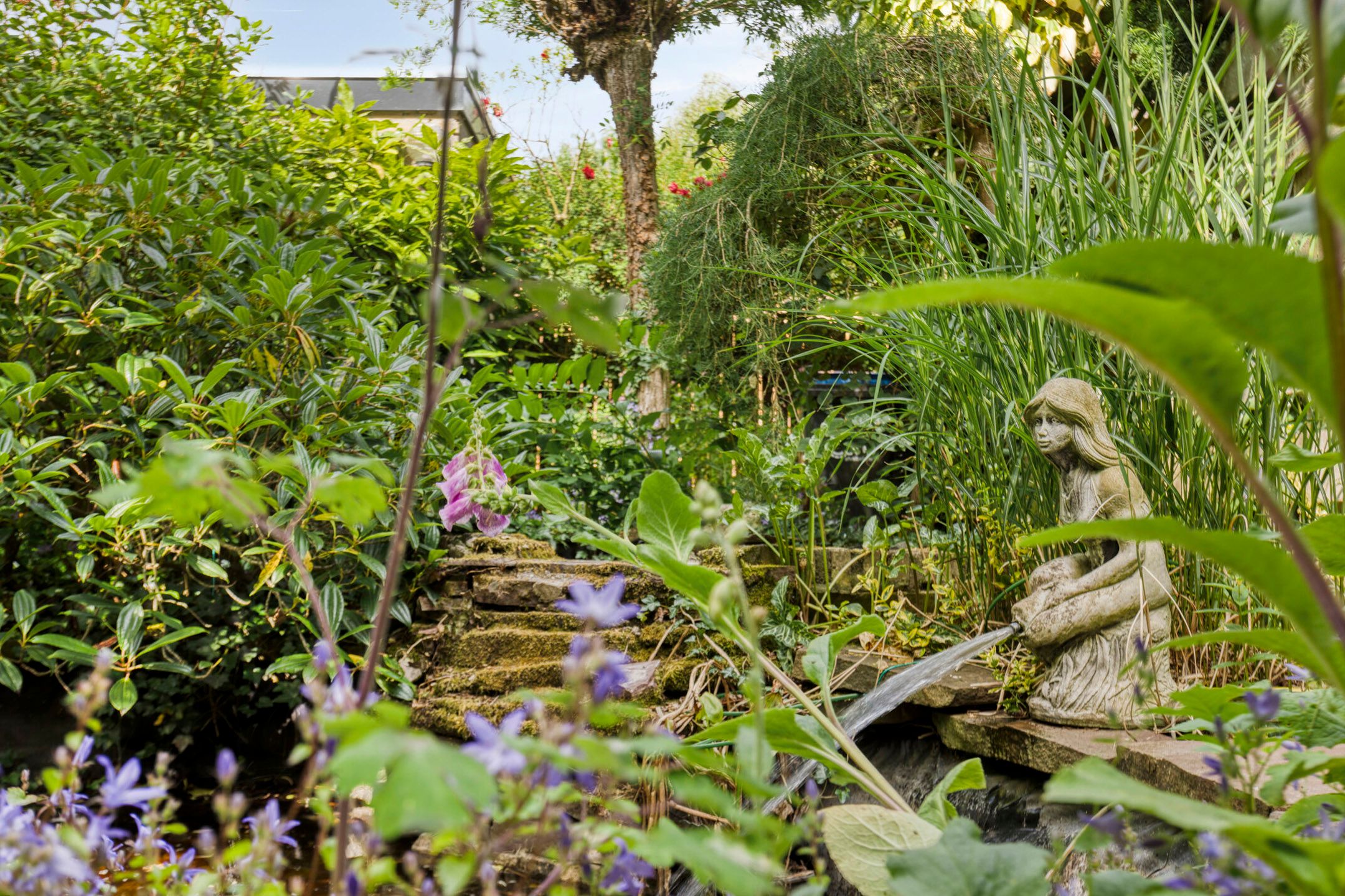 Foto 33 van Novapad 11