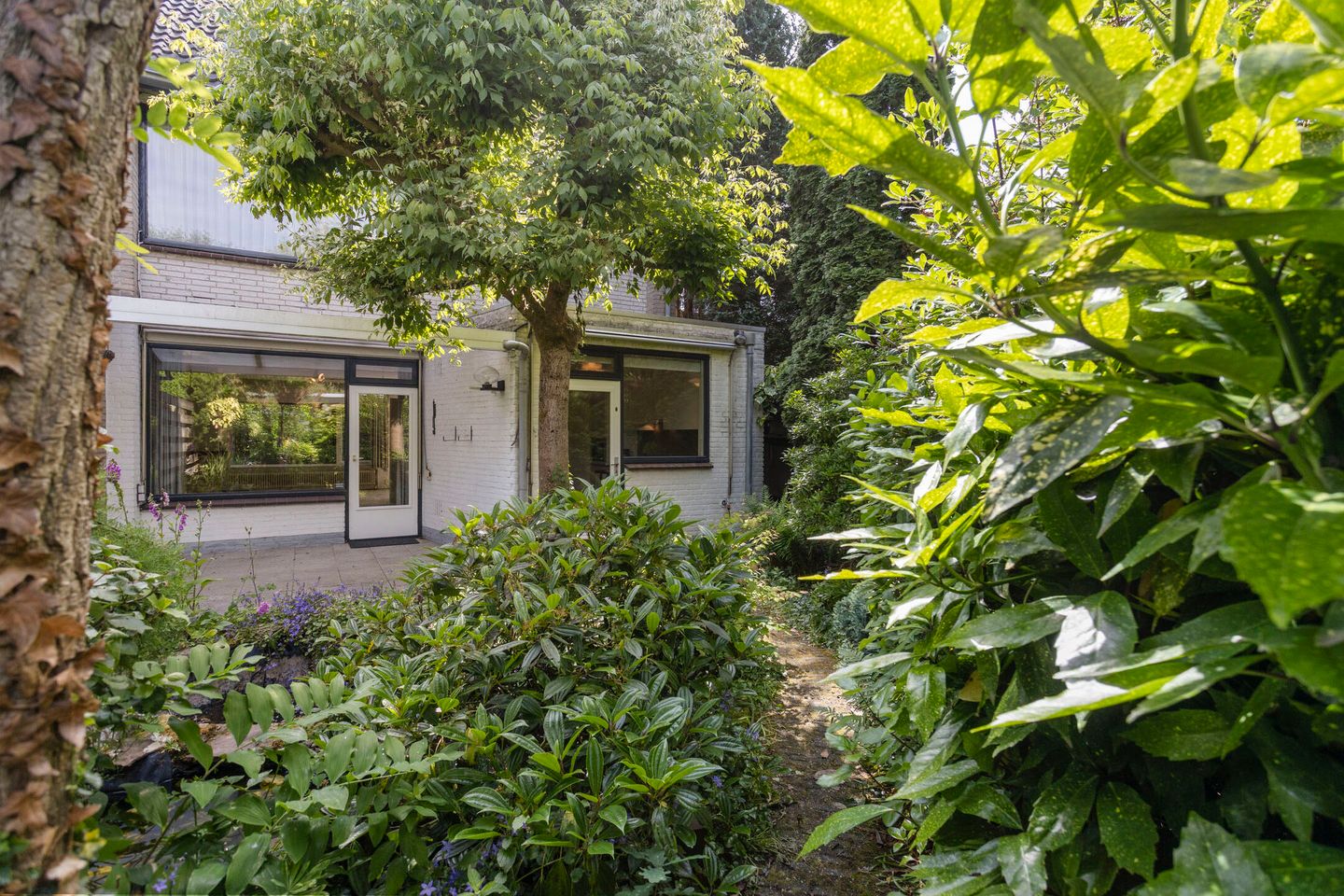 Foto 35 van Novapad 11