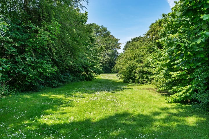 Foto 40 van Schutsluis 35