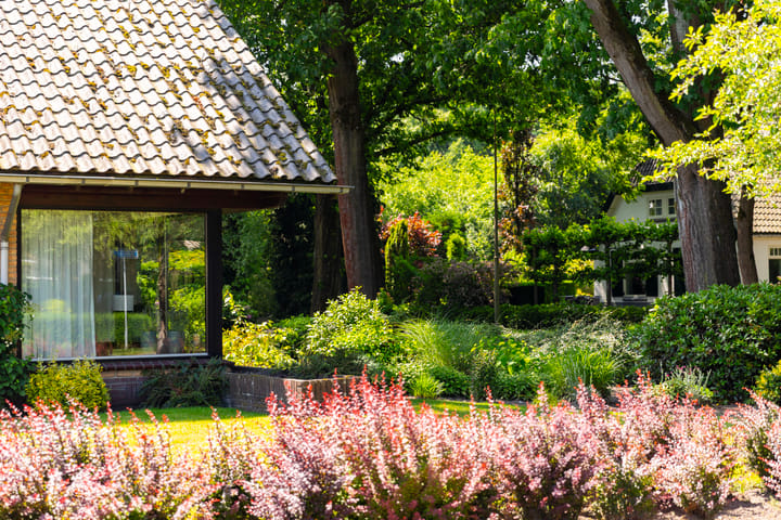 Foto 30 van Mozartstraat 1