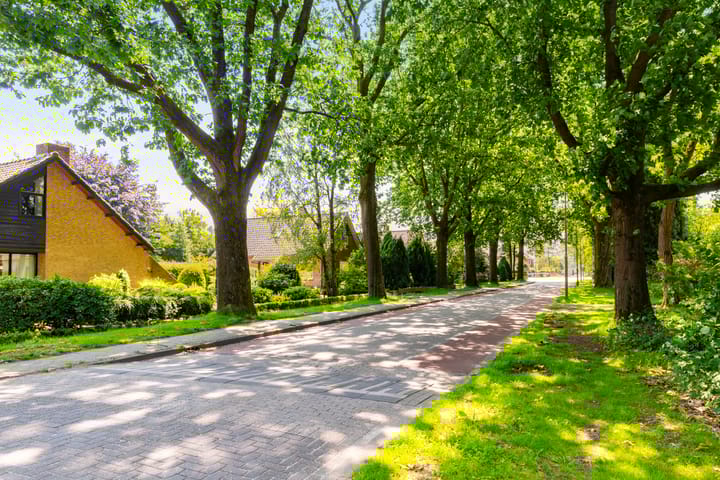 Foto 37 van Mozartstraat 1