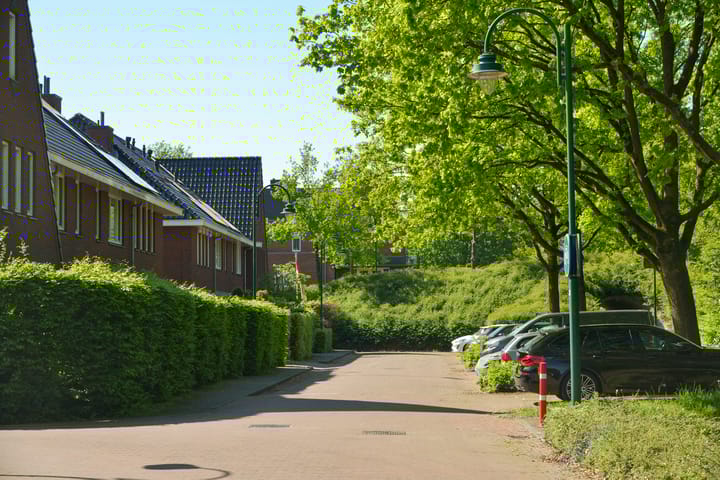 Foto 52 van Vierkante Bosje 50