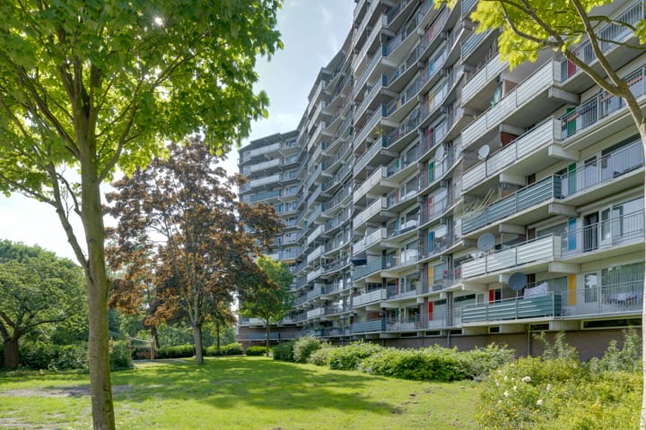 Foto 5 van Loenermark 113