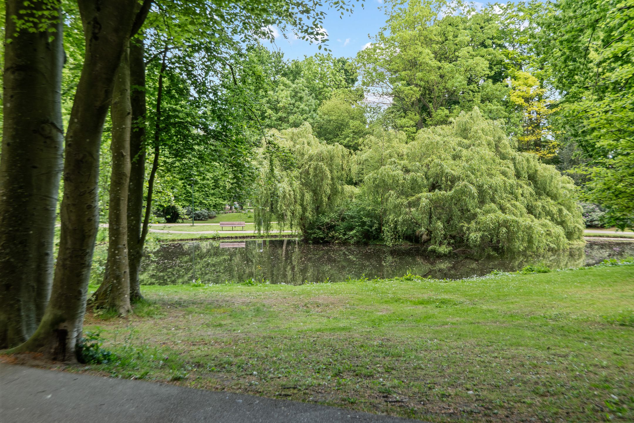 Photo 3 of Dillenburgstraat 14