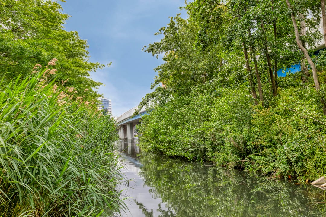 Foto 32 van Alkenoord 314