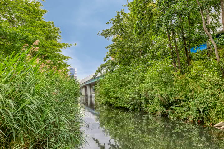 Foto 32 van Alkenoord 314