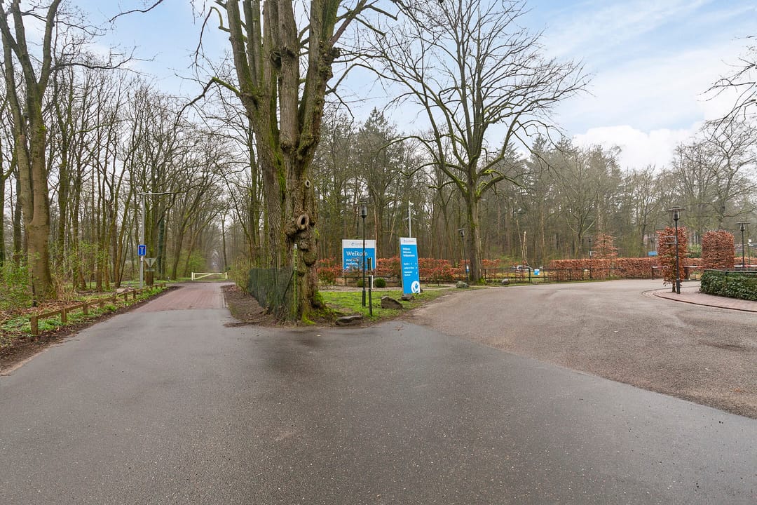 Photo 32 of Koningsweg 14-K1A