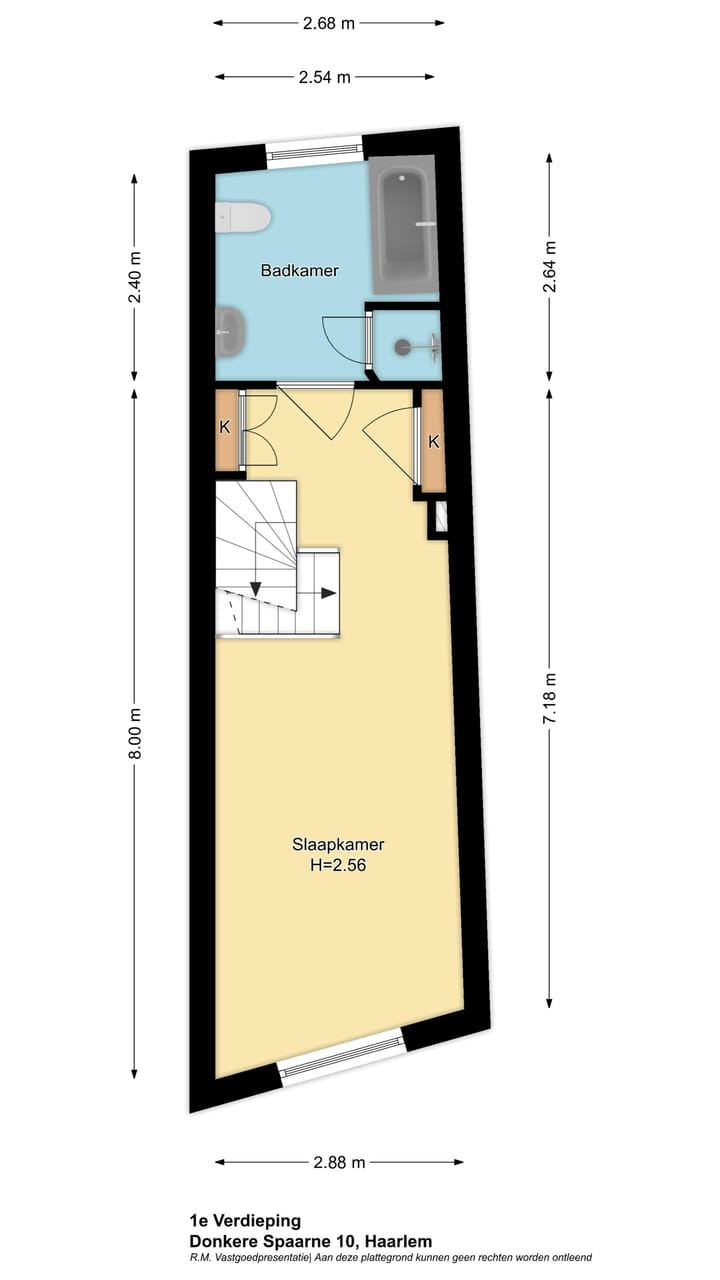 Foto 44 van Donkere Spaarne 10