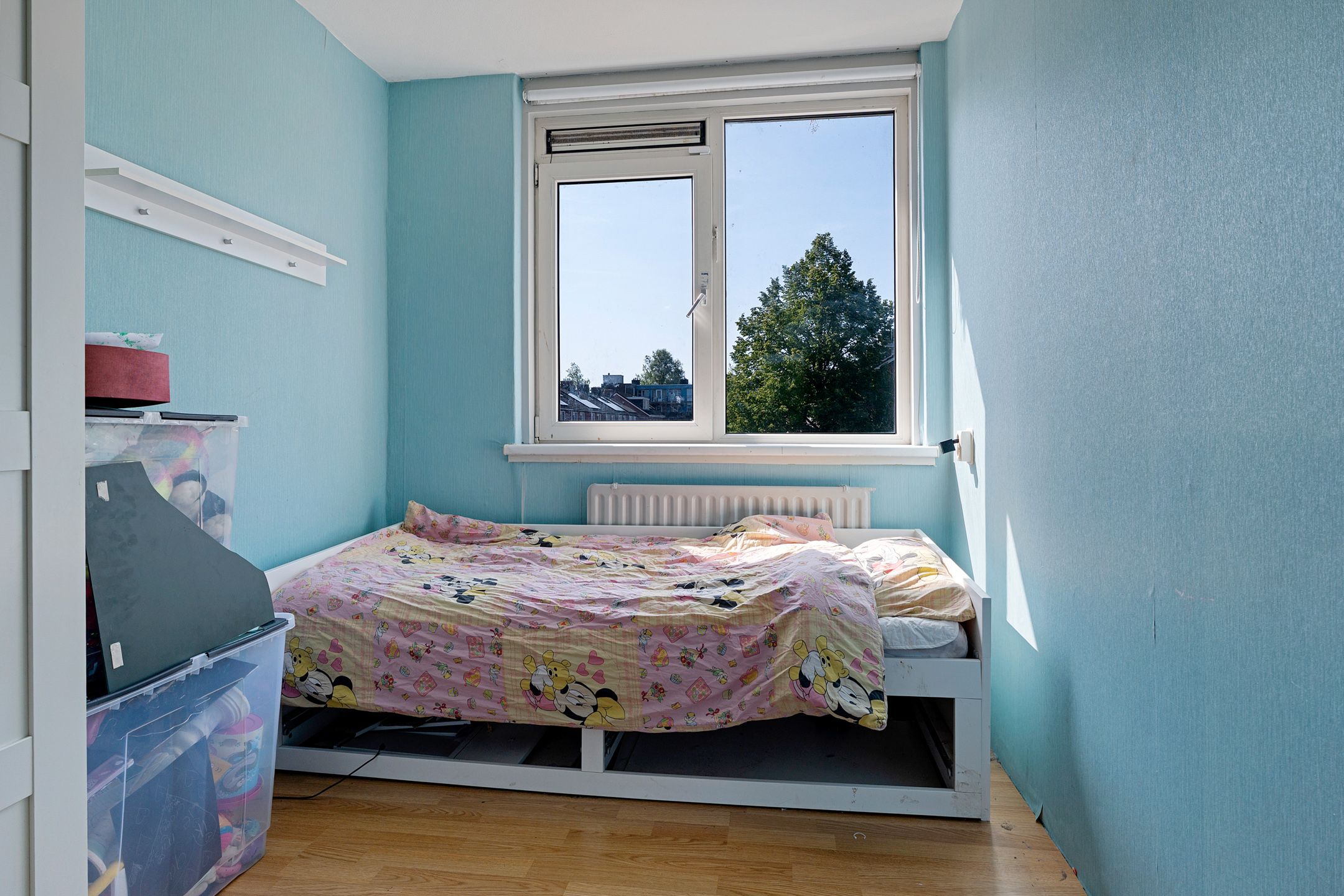 Foto 30 van Barnsteenstraat 42