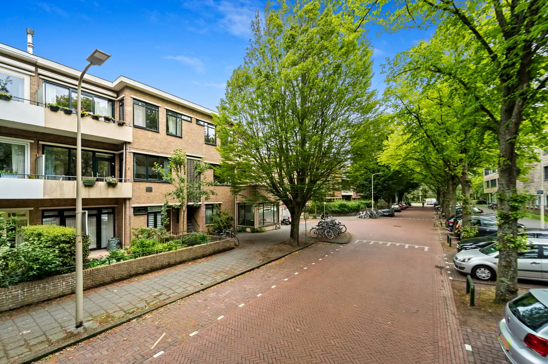 Foto 7 van De Sillestraat 246