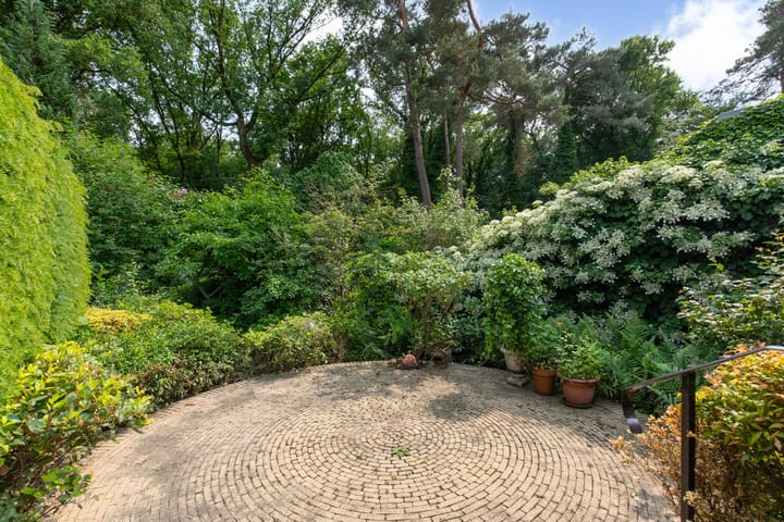 Foto 2 van Laman Trip-plantsoen 22