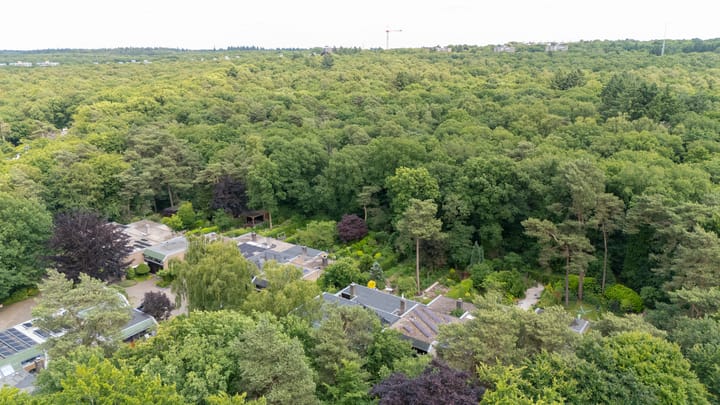 Foto 3 van Laman Trip-plantsoen 22