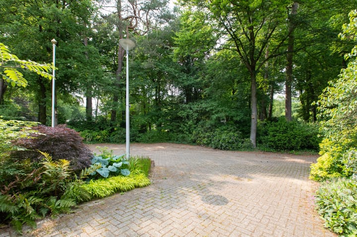 Foto 4 van Laman Trip-plantsoen 22