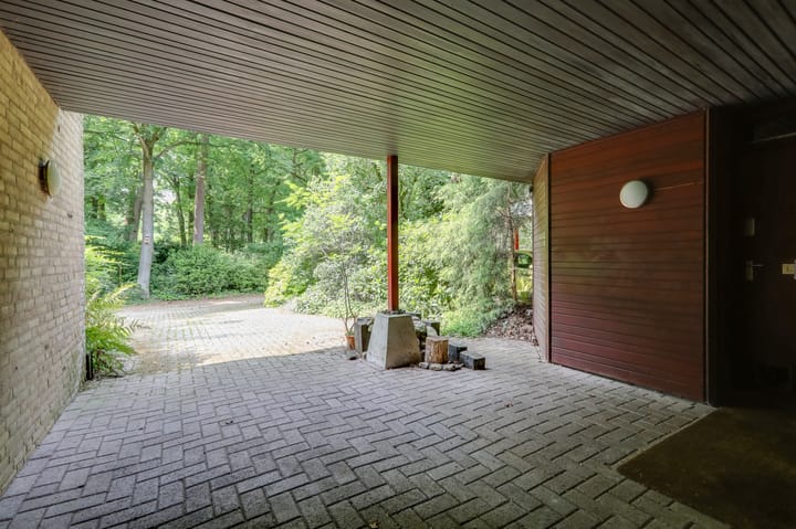 Foto 5 van Laman Trip-plantsoen 22