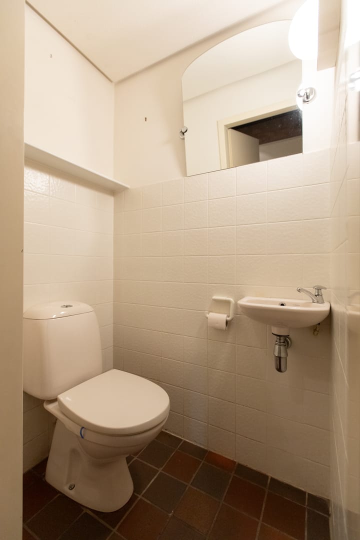 Foto 8 van Laman Trip-plantsoen 22