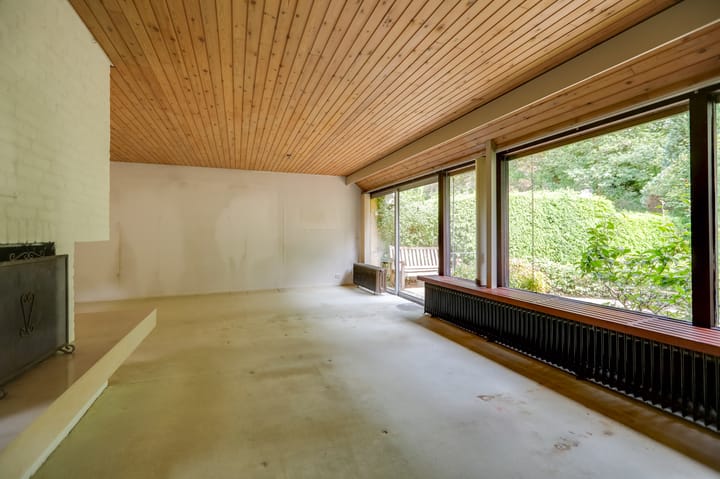 Foto 11 van Laman Trip-plantsoen 22