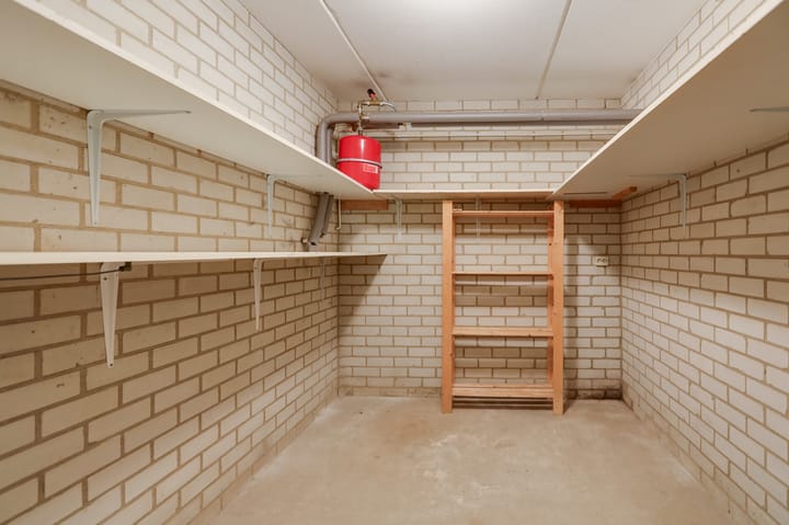 Foto 36 van Laman Trip-plantsoen 22