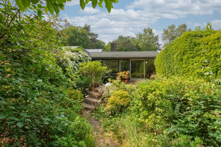 Foto 37 van Laman Trip-plantsoen 22