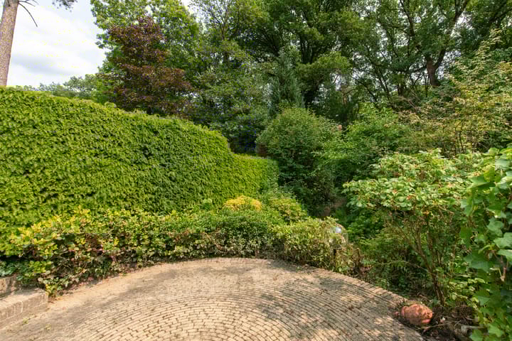 Foto 39 van Laman Trip-plantsoen 22