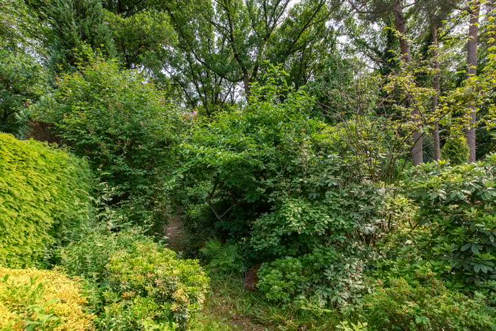 Foto 40 van Laman Trip-plantsoen 22