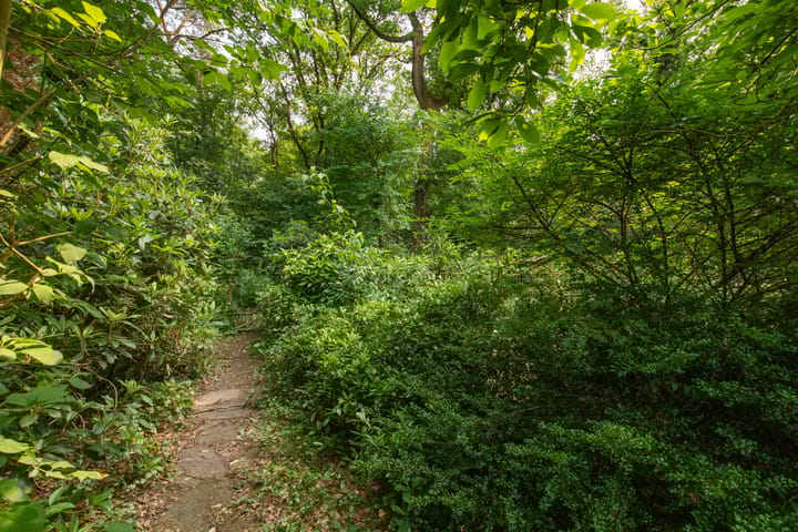 Foto 41 van Laman Trip-plantsoen 22