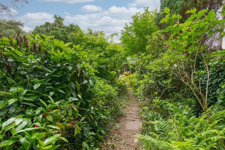 Foto 42 van Laman Trip-plantsoen 22