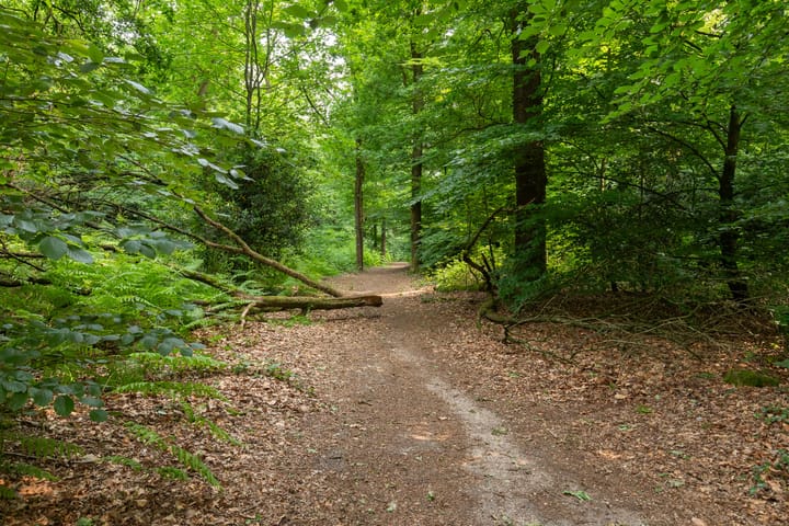 Foto 44 van Laman Trip-plantsoen 22