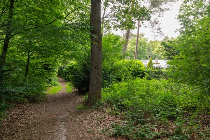 Foto 45 van Laman Trip-plantsoen 22