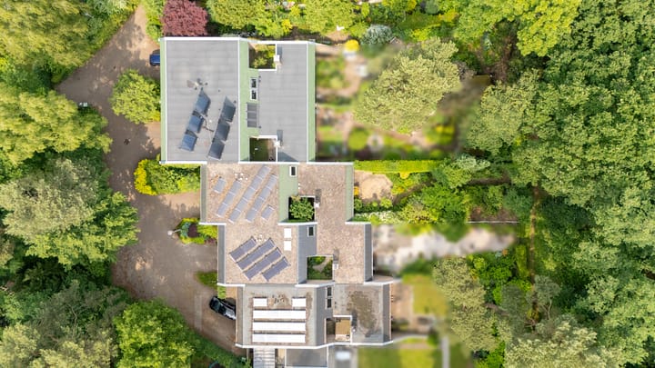 Foto 46 van Laman Trip-plantsoen 22