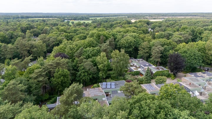 Foto 47 van Laman Trip-plantsoen 22