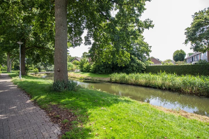 Foto 4 van Duiker 50