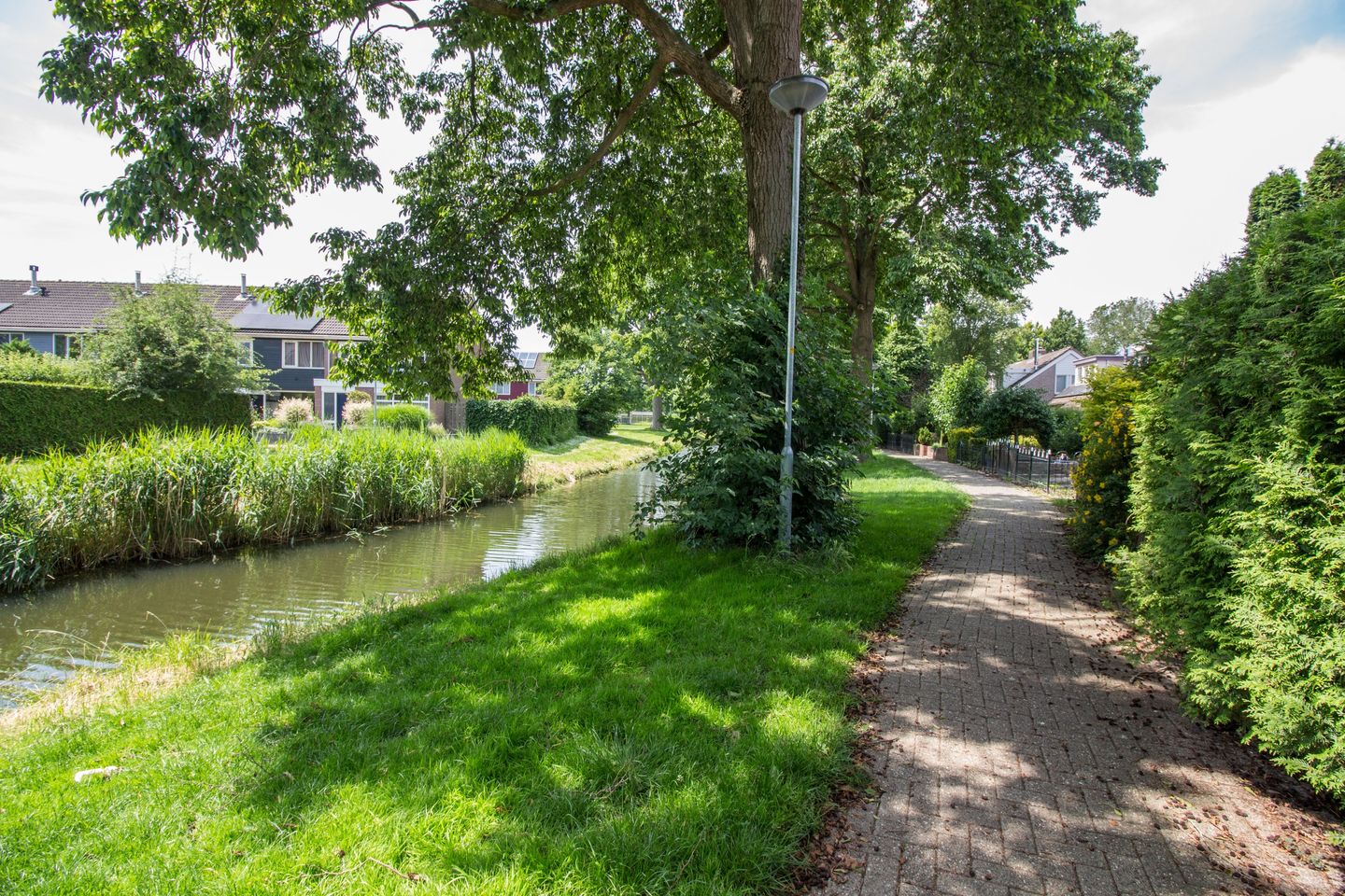 Foto 5 van Duiker 50