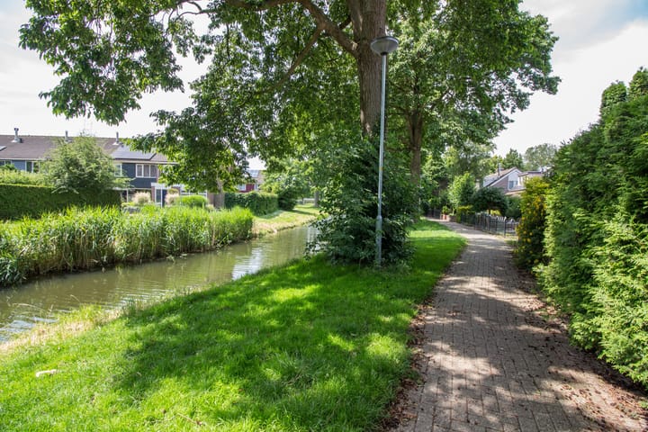 Foto 5 van Duiker 50